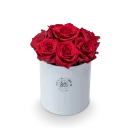 Box ekvádorských růží